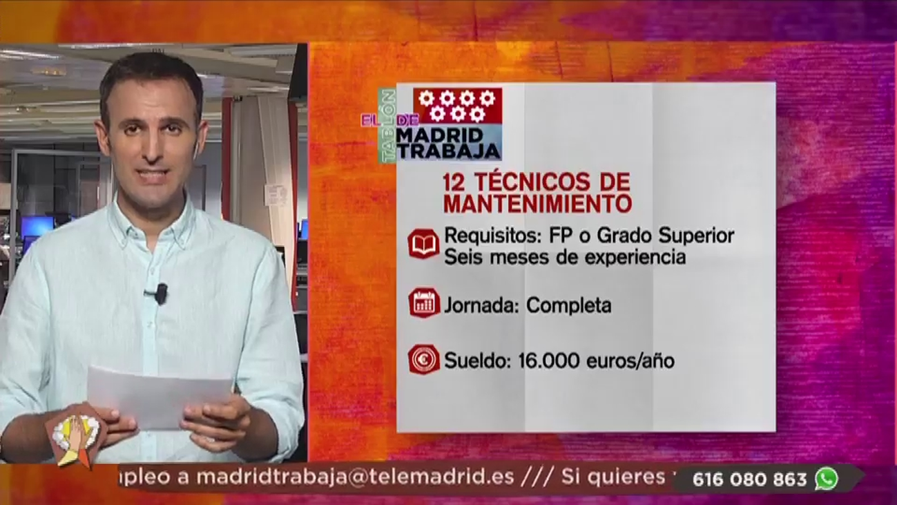 Se busca profesores, teleoperadores y técnicos de mantenimiento