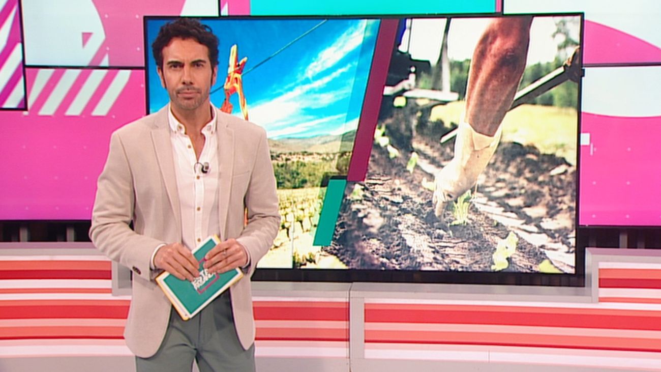 Está Pasando 14.07.2020