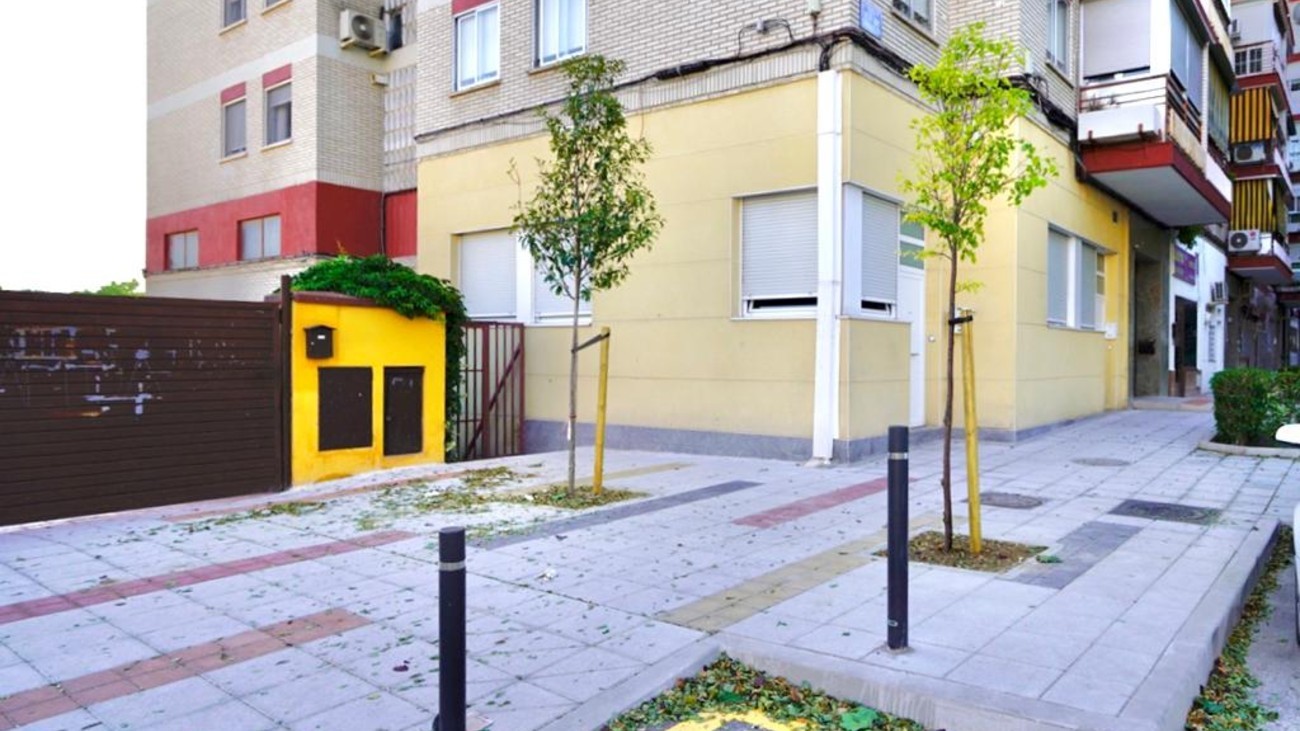 Árboles, en Móstoles