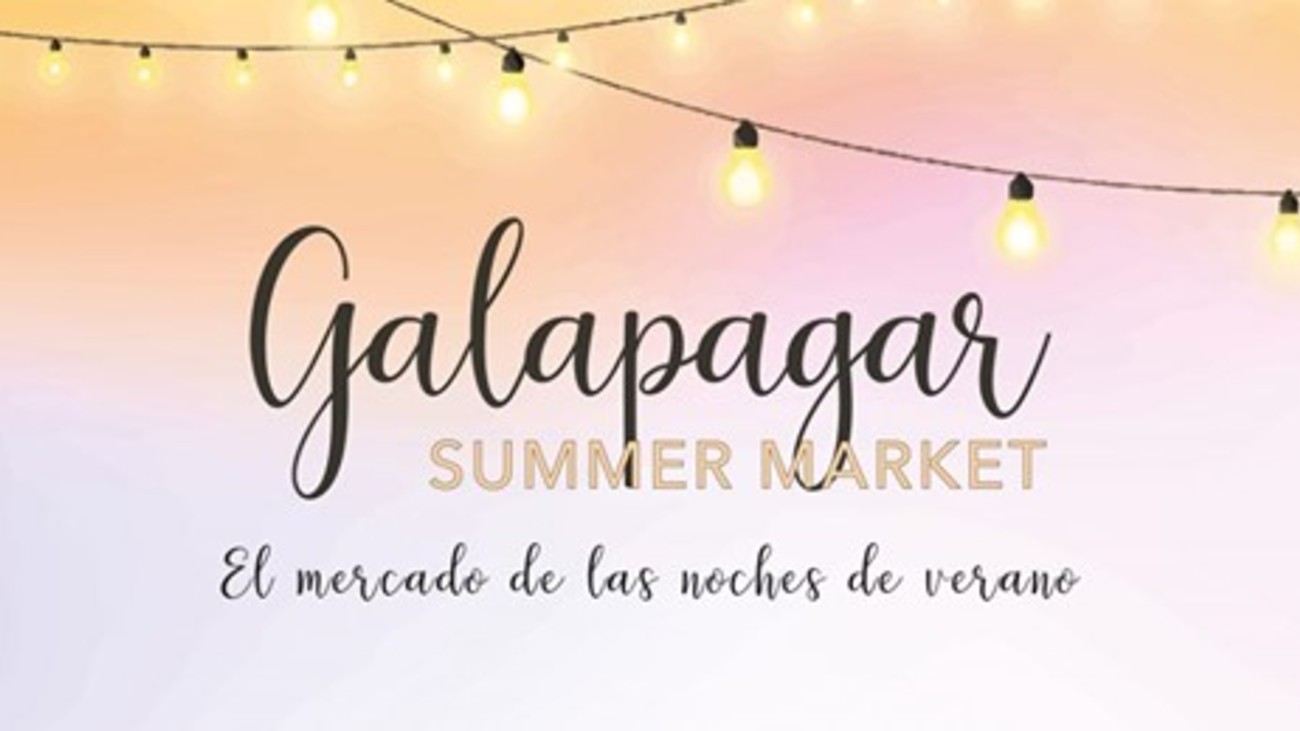 Galapagar Summer Market