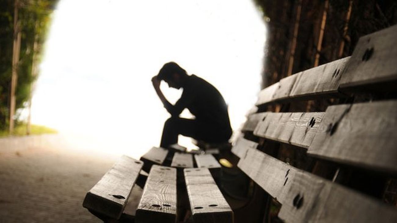 La soledad en las personas y los animales