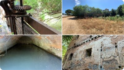 Alcalá de Henares avanza el Proyecto de Renaturalización del río Henares y su entorno