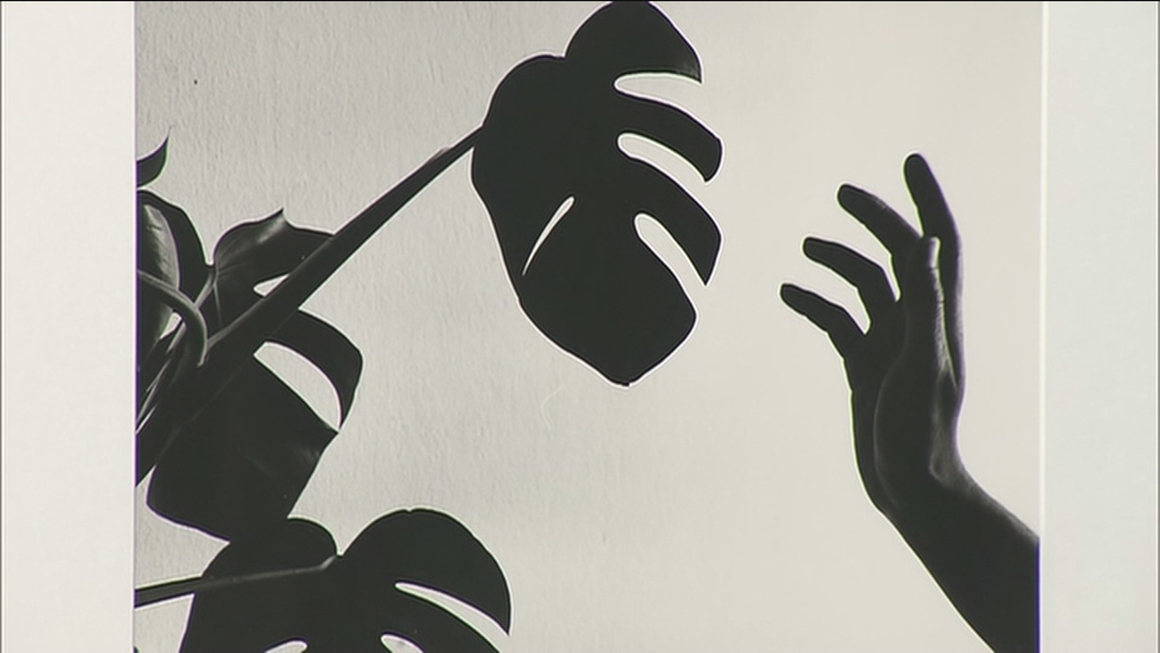 Madoz, el fotógrafo que juega con la Naturaleza, regresa al Botánico