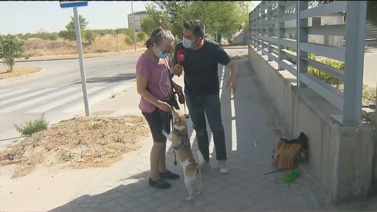 Ana y su perro ya pueden estar juntos y no dormir en la calle gracias al Samur Social