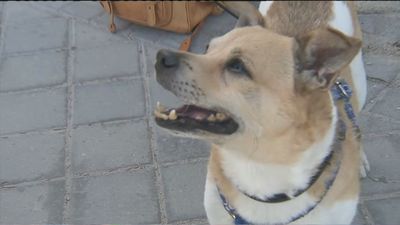 Buenos Días Madrid 20.07.2020 (10.00 - 11.00)