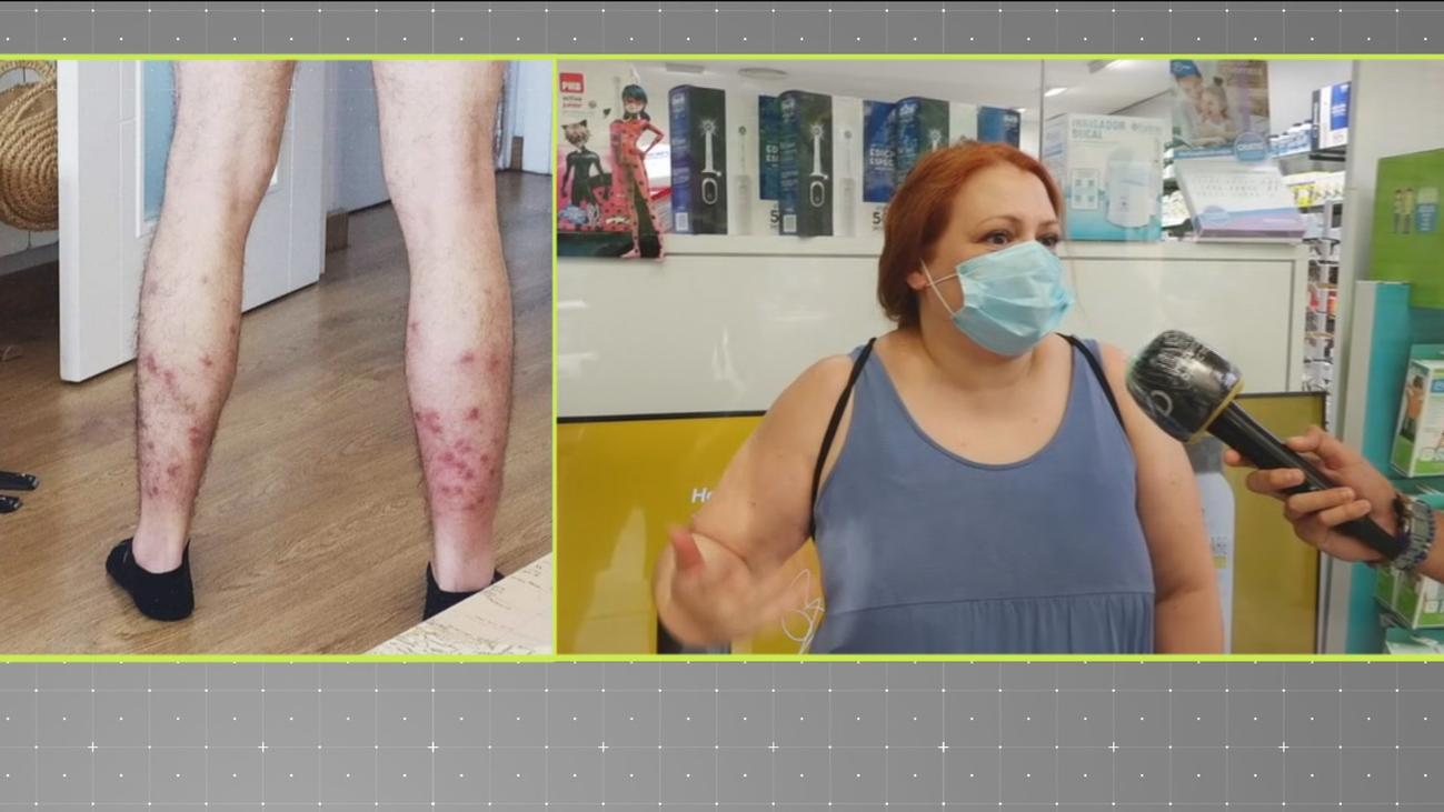 ¿Qué insecto se está cebando con los vecinos de Butarque?