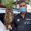 La Policía de Fuenlabrada rescata un búho real que se había atragantado