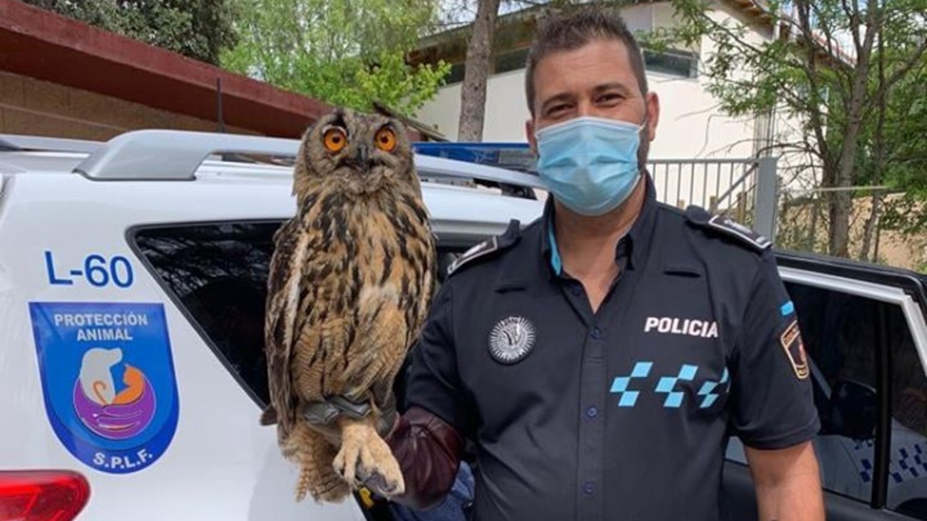Policía Local de Fuenlabrada con un búho real