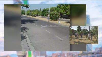 Los vecinos de la urbanizacion Parque Coimbra de Móstoles se unen para recoger la hierba seca