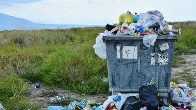 Los pueblos de Madrid, contra  la 'basuraleza'