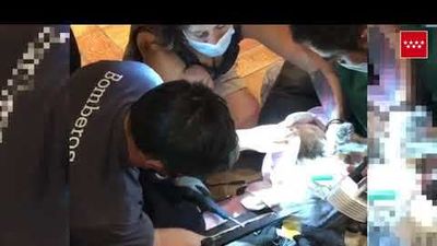 Rescatan en Las Rozas a un gato atrapado en un sofá