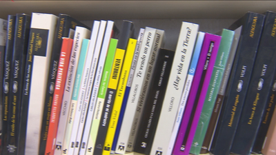 Los españoles leemos más, pero compramos menos libros, tras la pandemia