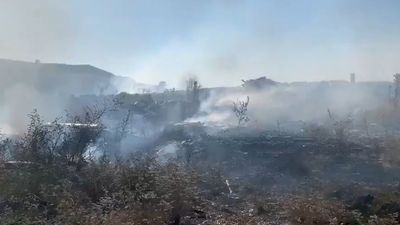 Desalojan una granja de caballos por un incendio de pastos en la Cañada Real