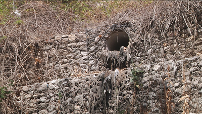 'Brotes' de aguas fecales en Arroyomolinos
