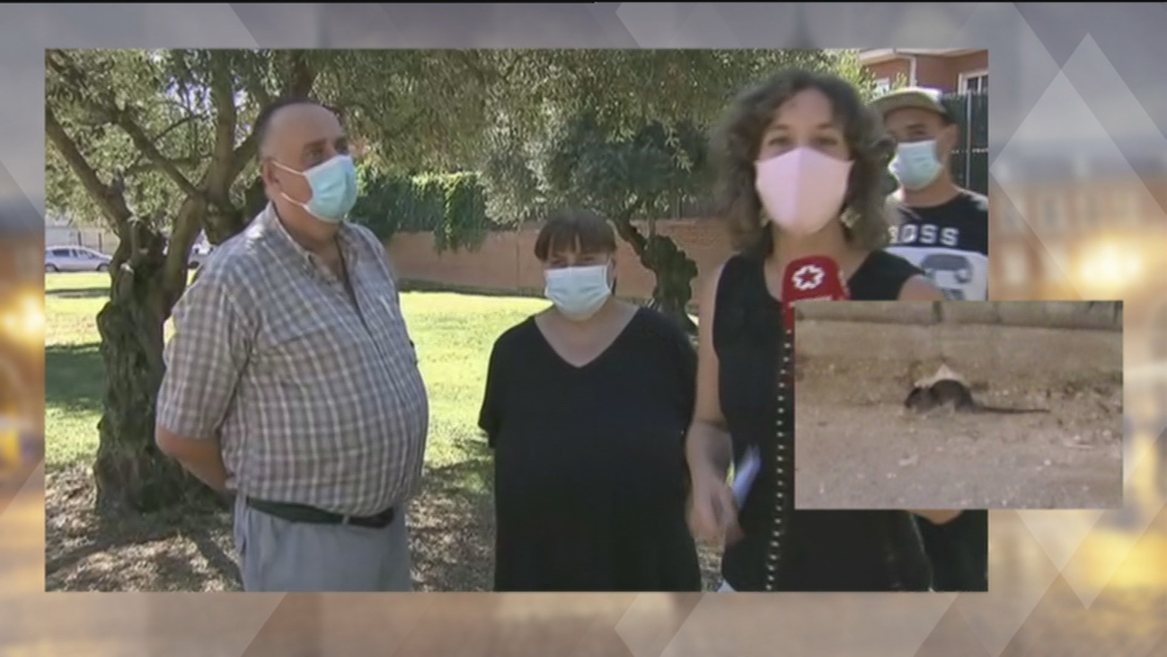 Denuncian la proliferación de ratas en un parque de Parla