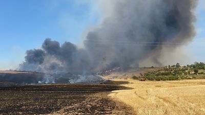Desalojan dos urbanizaciones de Madrid y Guadalajara por un incendio de pastos y cereal  en  Valdepiélagos