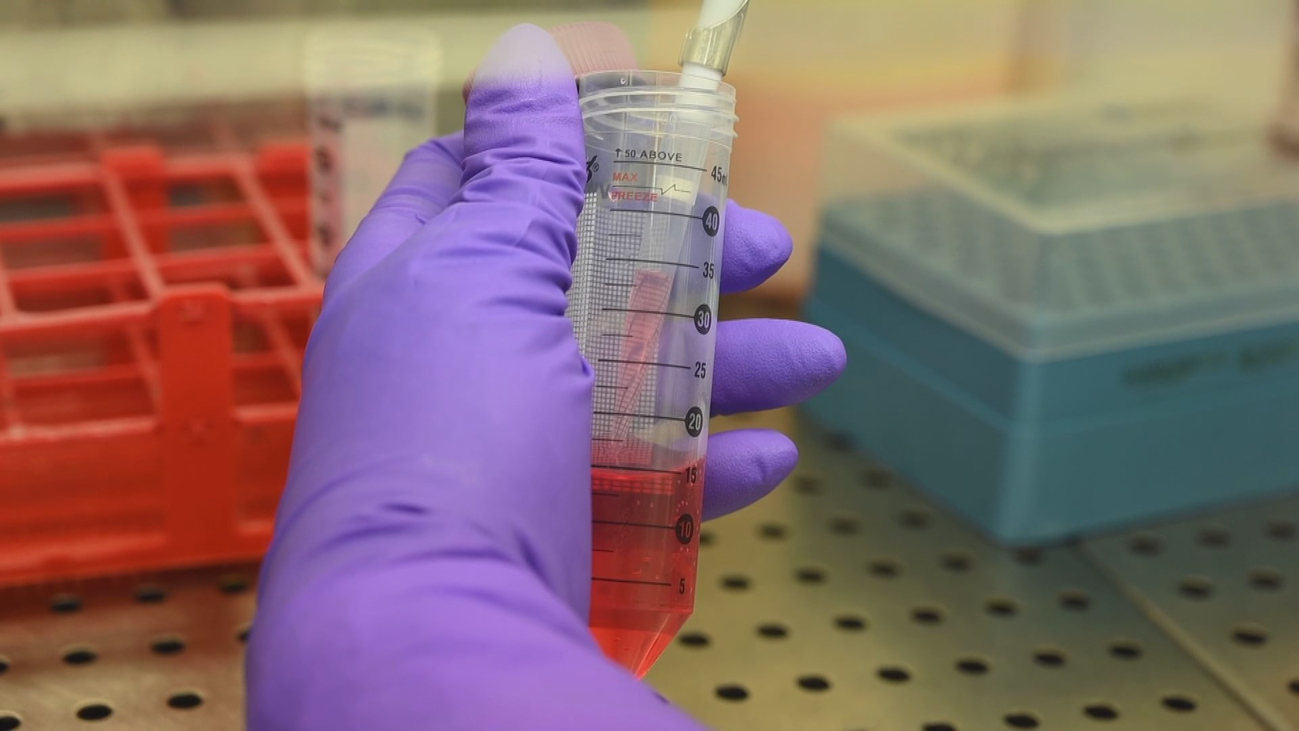 Sonia Zúñiga, investigadora del CSIC: "Nuestra vacuna es única en el mundo"