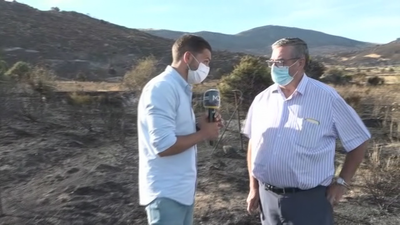 Accedemos a la zona calcinada de Zarzalejo