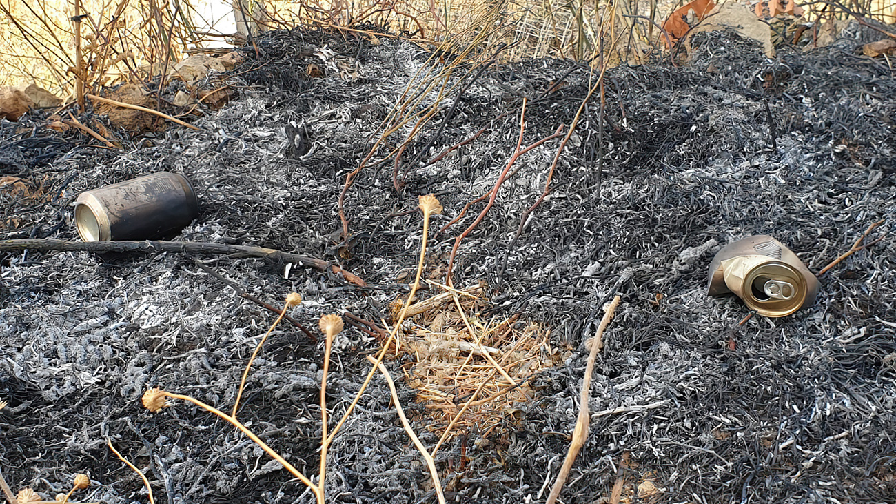 Ya no hay zonas de riesgo en el incendio forestal de Robledo de Chavela