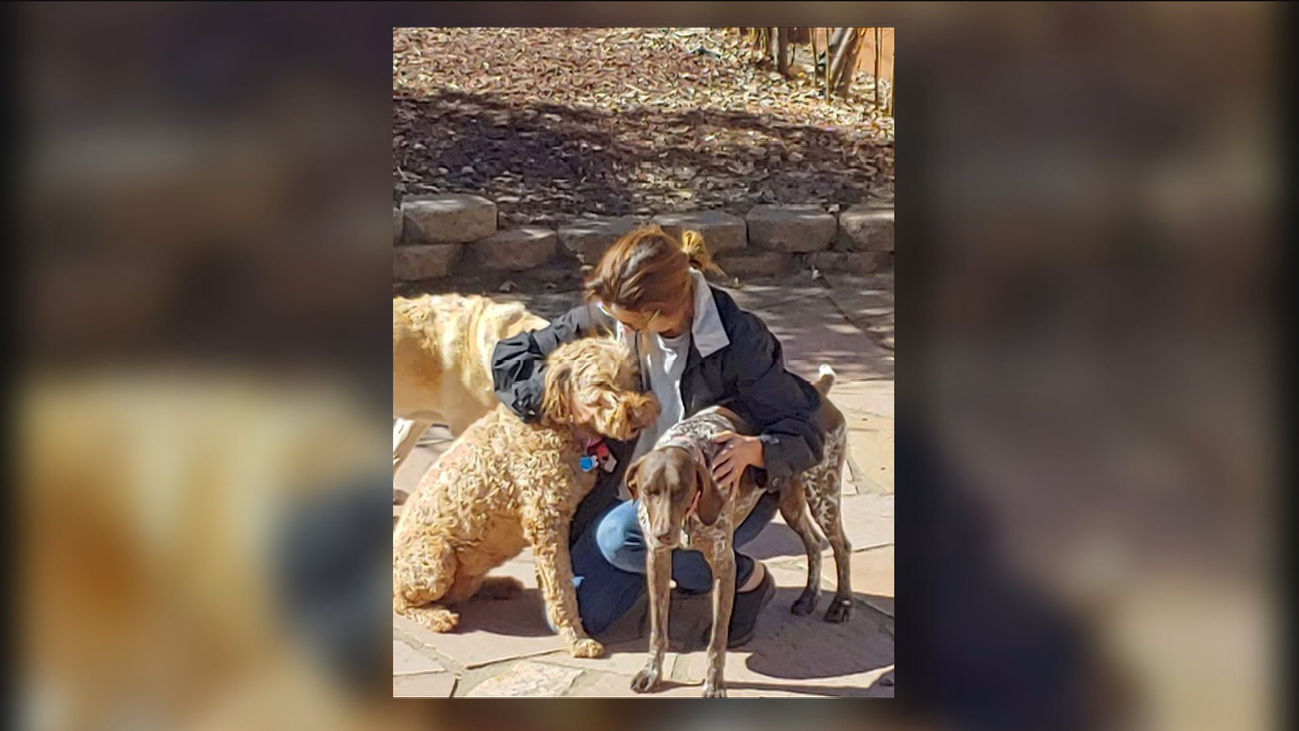 La odisea para volver a Madrid de cuatro perros perdidos en el aeropuerto de Frankfurt