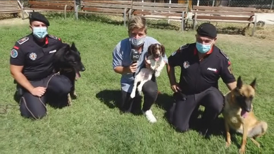 Así trabaja la Unidad Canina de Móstoles