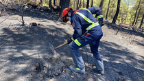 Extinguido el incendio de Robledo de Chavela tras quemar unas 1.000 hectáreas