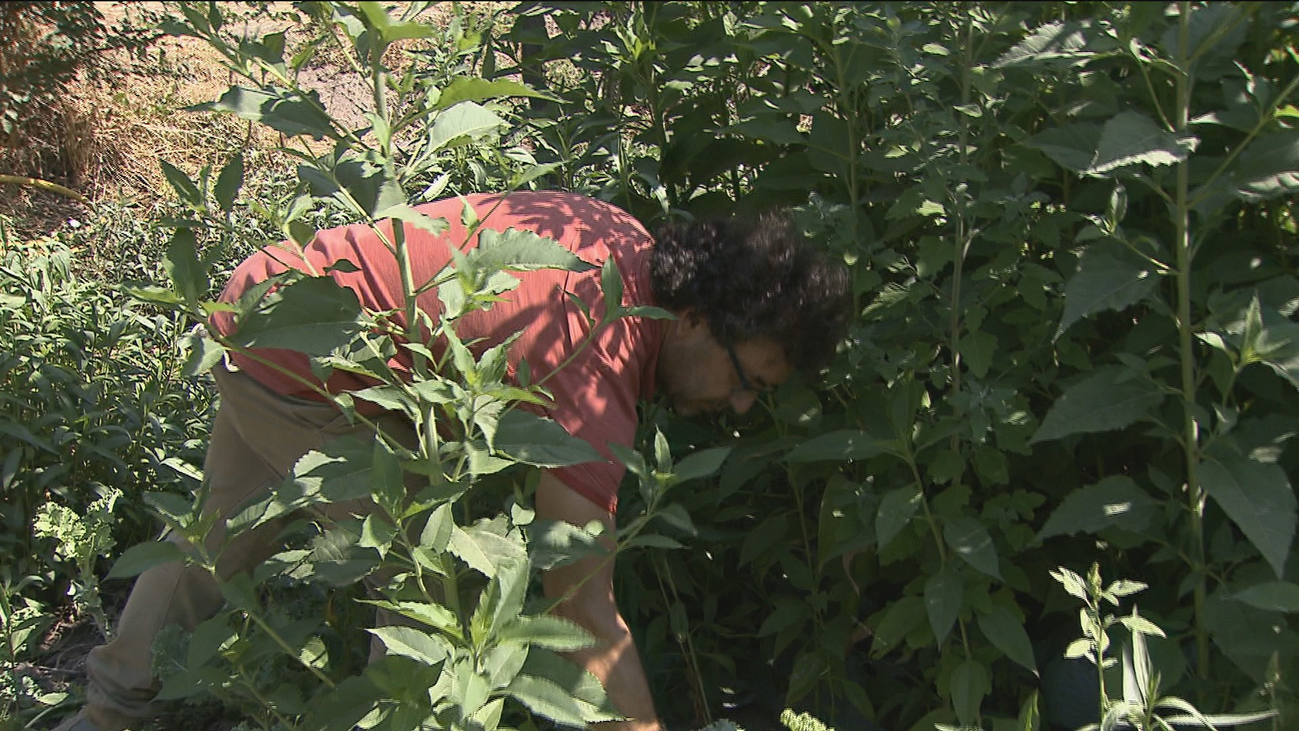 Crowfunding para los agricultores madrileños que tengan iniciativas innovadoras en la región