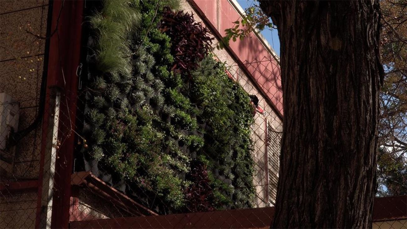 Así funcionan los jardines verticales