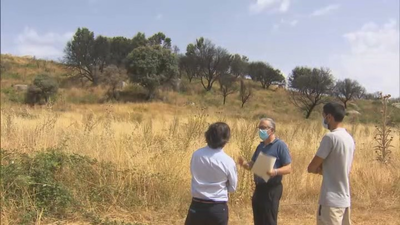 Comienza la recuperación de los terrenos particulares afectados por el incendio de Cadalso de los Vidrios