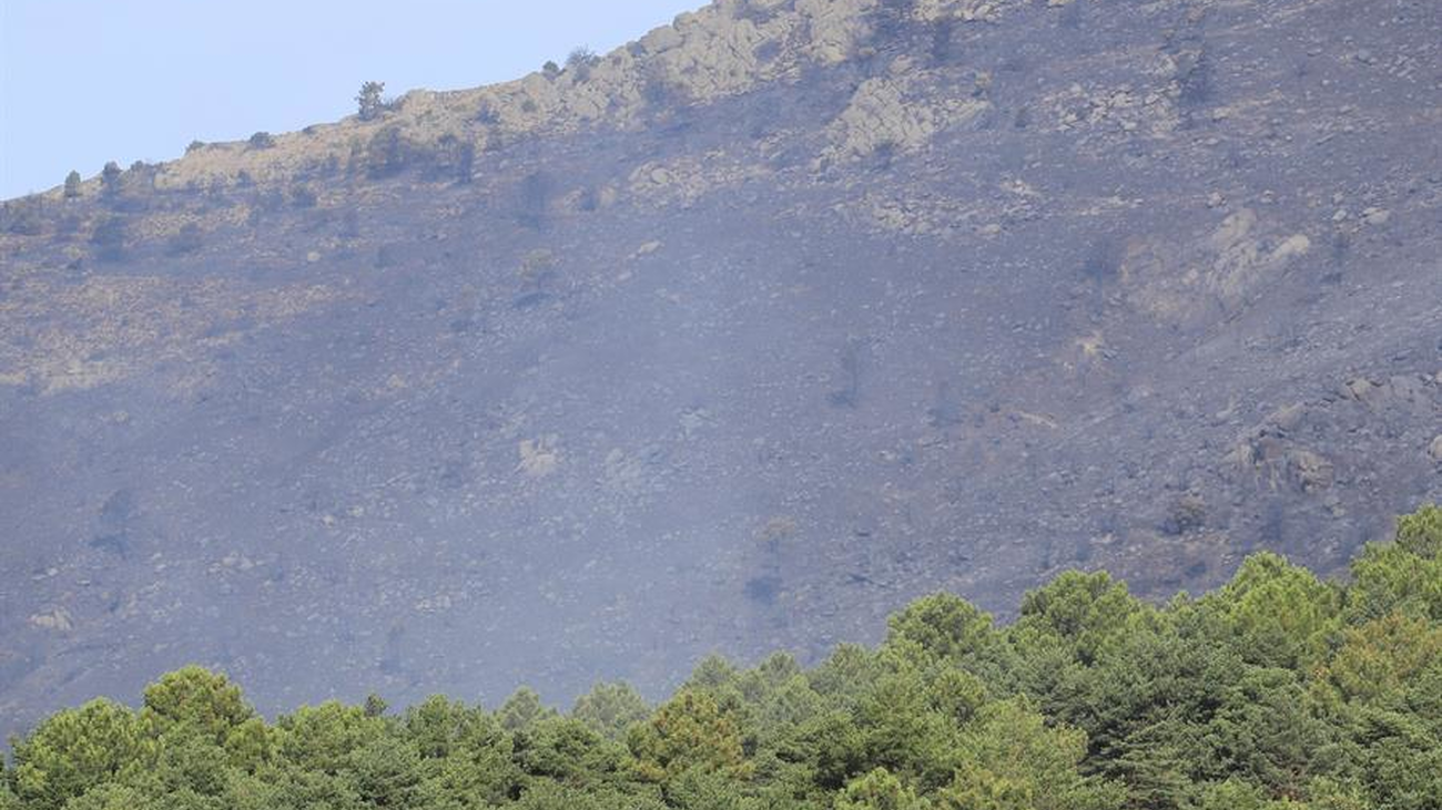 El 33% de los 371 incendios forestales ocurridos en Madrid en 2019 fueron provocados