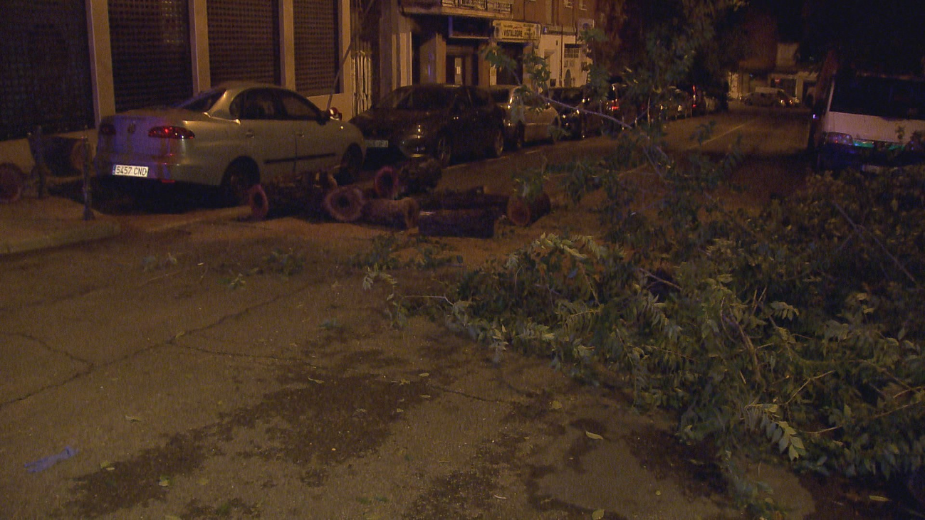 Varios árboles caídos tras las tormentas en Madrid