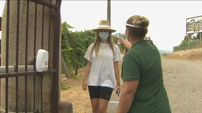 Llega la vendimia 'de la pandemia' con medidas de seguridad extra