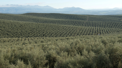 Estados Unidos no sube los aranceles a los productos españoles