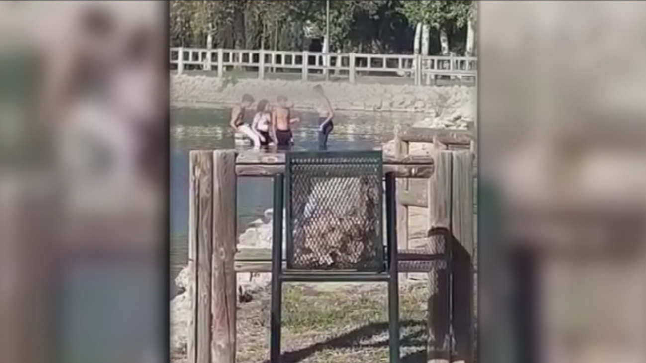 Se bañan en un estanque público de Aluche a pesar de las prohiciones y del virus