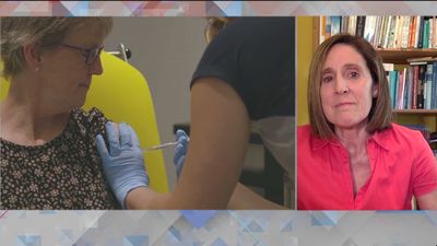 Isabel Sola, viróloga: "No sabemos qué efectos podría tener una combinación de gripe y coronavirus"