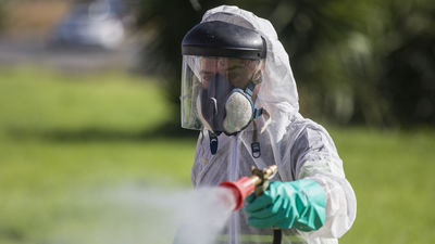 Muere el primer afectado por el virus del Nilo en Sevilla