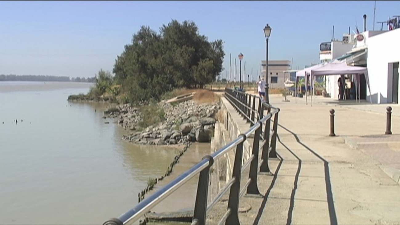 Una mujer de 85 años, segunda víctima mortal por el virus del Nilo en Sevilla