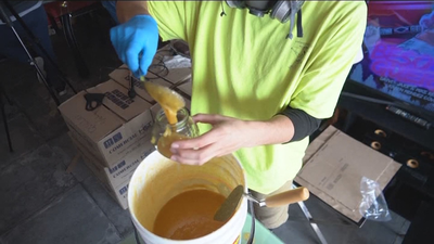 'Miel Gibson', la ingeniosa idea de una chilena arruinada durante la pandemia