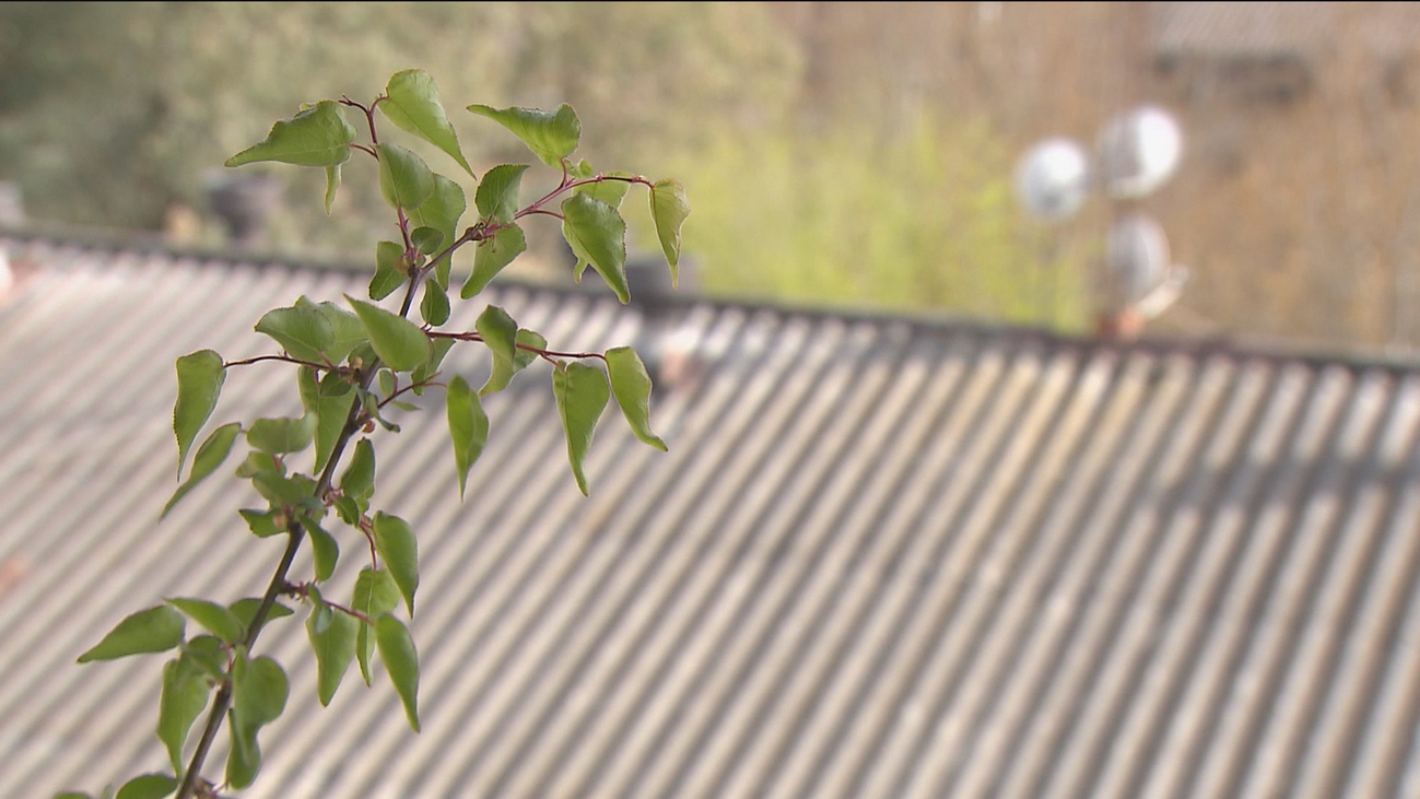 Orcasitas, el primer barrio de España que empieza a retirar el amianto de sus tejados