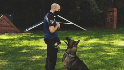 Conocemos la sección canina de la Policía Municipal