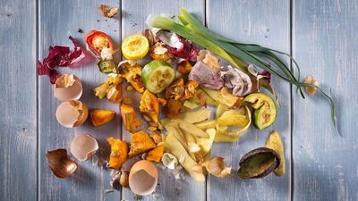 Cómo aprovechar los residuos orgánicos