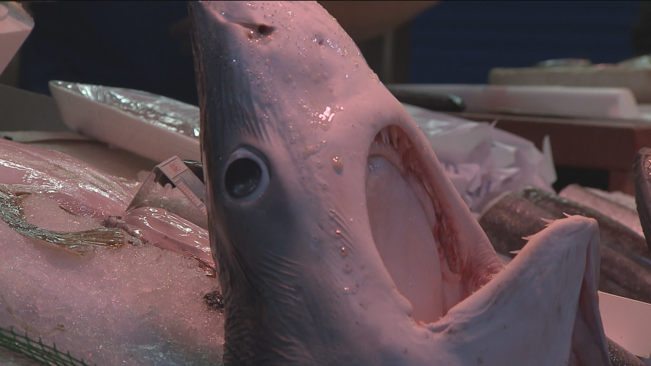 Una cabeza de tiburón para aumentar las ventas de la pescadería