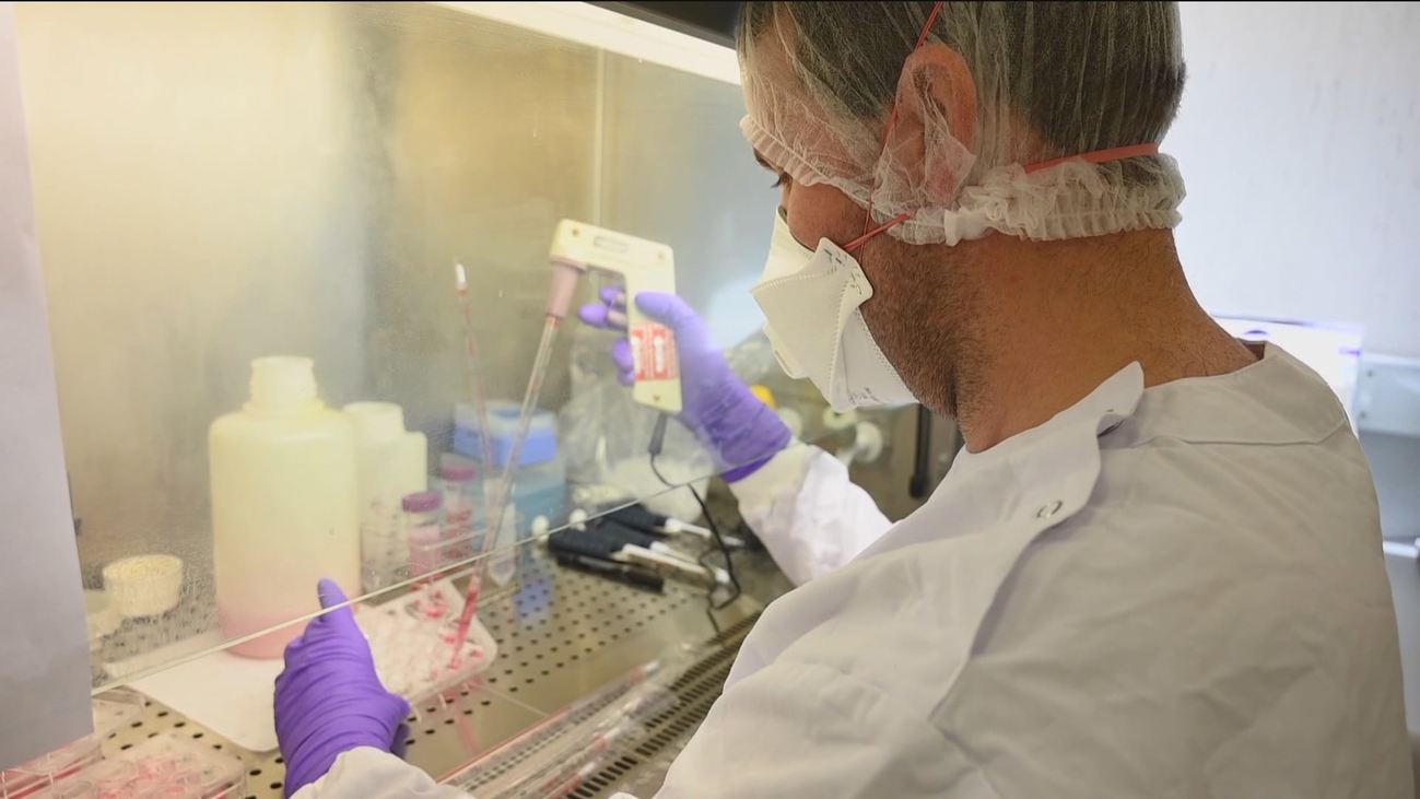 ¿Confían los españoles en la vacuna contra la Covid-19?