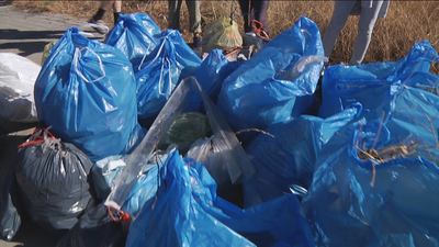 Batida vecinal para recoger la basura de Aranjuez