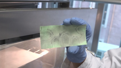 La dactiloscopia bajo lupa en el laboratorio de huellas de la Guardia Civil