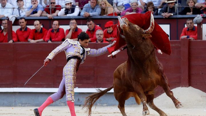 Madrid no autoriza los festejos taurinos previstos en San Sebastián de los Reyes, Aranjuez, Valdetorres y Navas del Rey