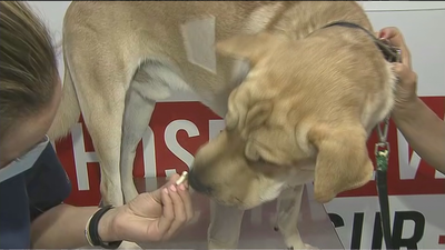 Andrea, la súper heroína que ha salvado la vida de Tanox