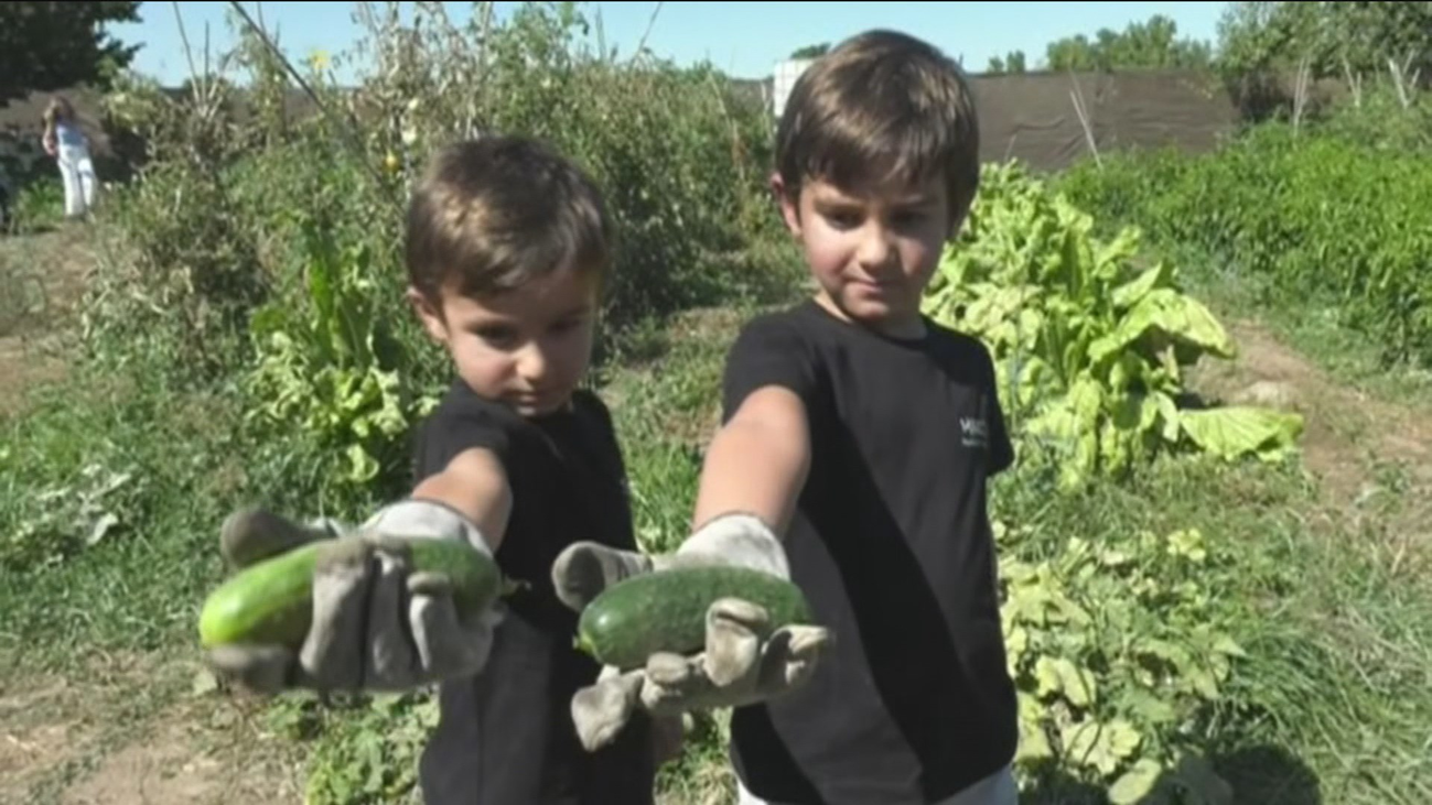 Marcos y Diego, dos pequeños agricultores de 5 años