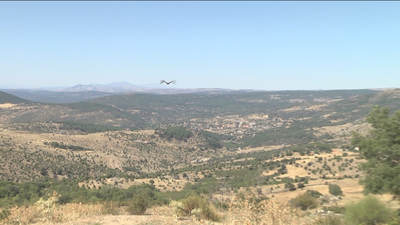 Visitamos el Centro de Recuperación de Animales Silvestres