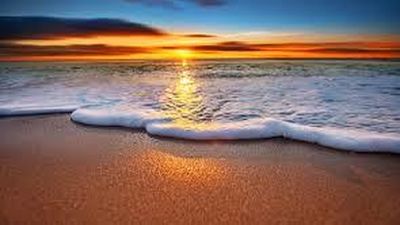 La batuta mágica 13.09.2020